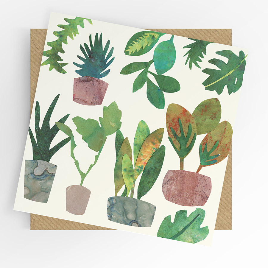 Potted plants